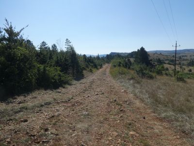 Croisement antennes Single 2