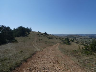 Croisement A/R Single 2