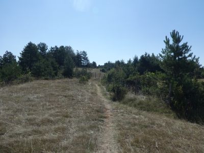 Croisement chemin Fayet