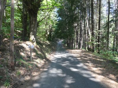 Sortie Parc National