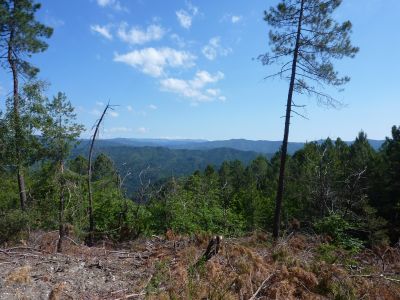 Vue Cévennes 3