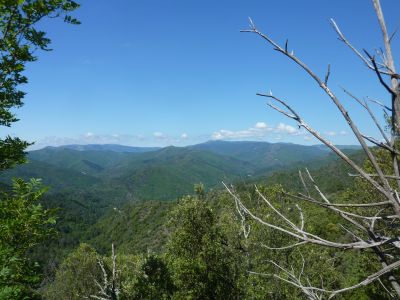 Vue Cévennes 4