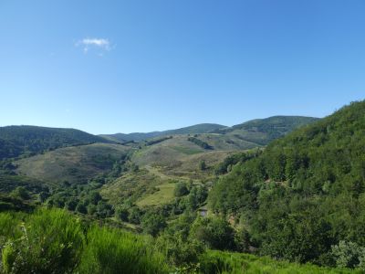 Vue crêtes Aigoual