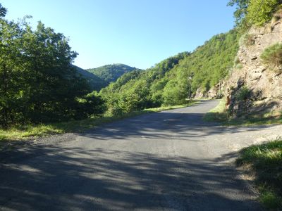 Croisement forêt Rousses