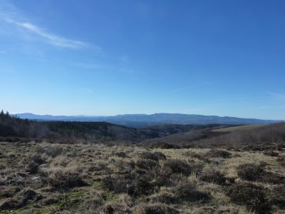 Vue Cévennes