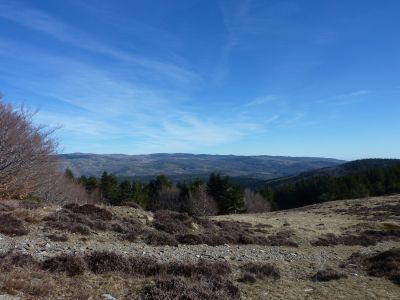 Vue Mont Lozère