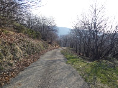 Croisement après Viale