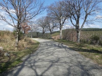 Croisement D906 Albespeyres 2