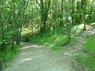 Croisement Morangiès