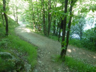 Croisement Morangiès 2