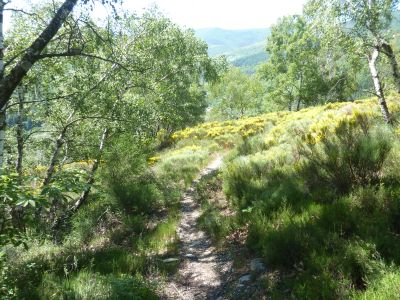 Vue descente Gratassac 4