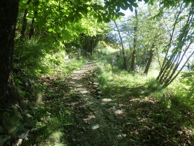 Croisement avant Chapelle