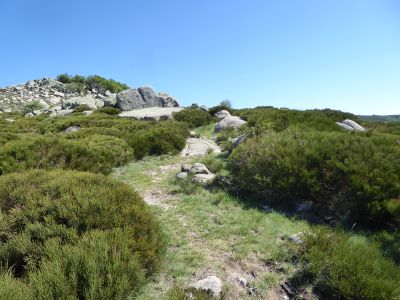 Croisement Chabals 2