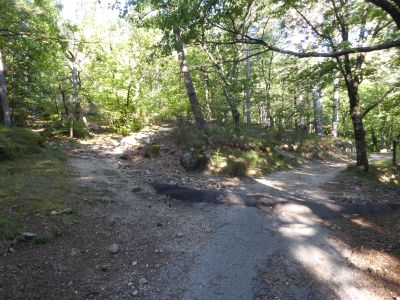 Croisement avant Parc