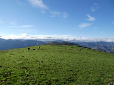 Descente Hauskoa