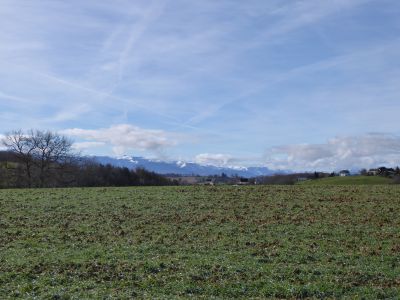 Vue Pyrénées 5