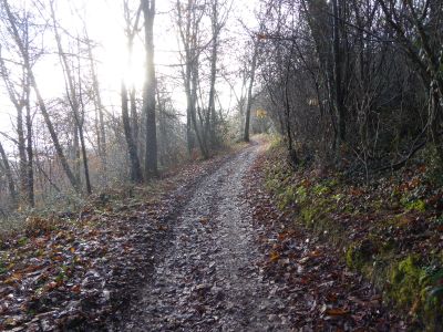 Vue chemin montéee