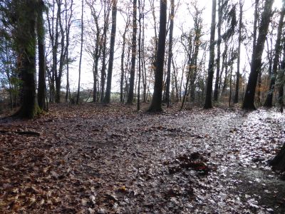 Chemin Arles