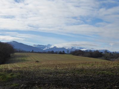 Vue Pyrénées 2