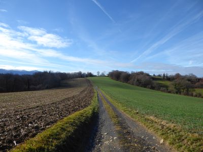 Le Chemin d'Arles