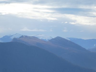 Vue Buztanzelhai