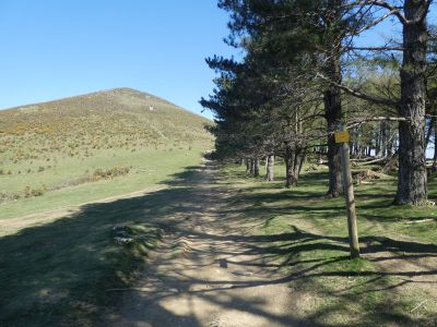 Croisement après Amezketa