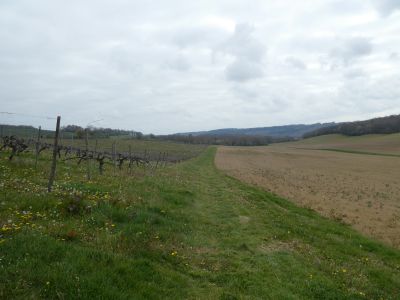 Vue sentier Floris