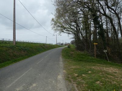 Croisement avant Puyo