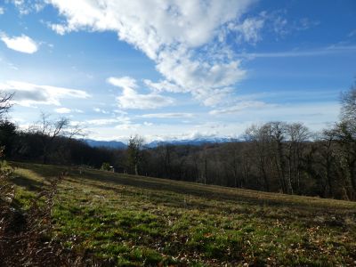 Vue Pyrénées