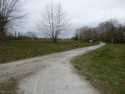 Croisement chemin cimetière