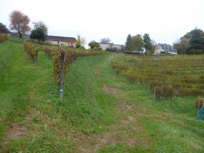 Chemin montée Larredya