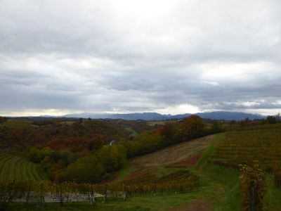 Vue vignes 5