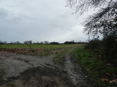 Croisement après Ayguelongue 2