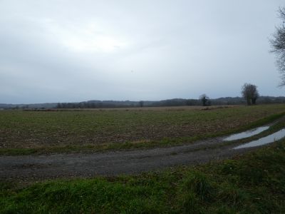 Croisement après fin Ayguelongue