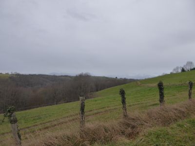 Vue Pyrénées