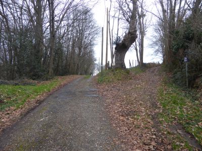 Croisement Glandée