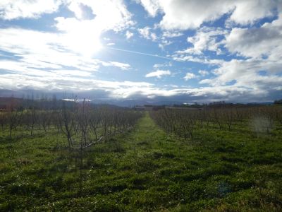 Vue Pyrénées 2