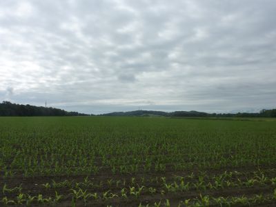 Vue plateau coteau