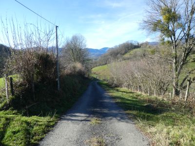 Croisement après Etxebestea