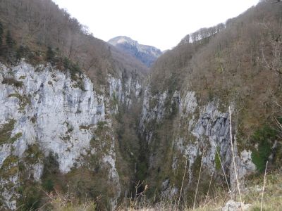 Vue Holzarté 2