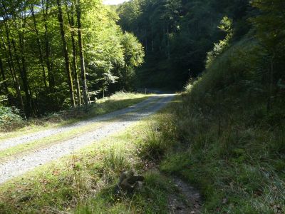 Croisement après Jauregiborda 2 2