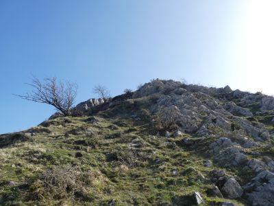 Vue montée Bosmendieta 2