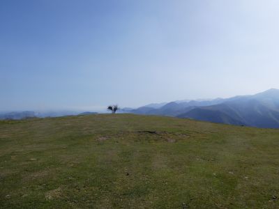 Croisement Salhagagne