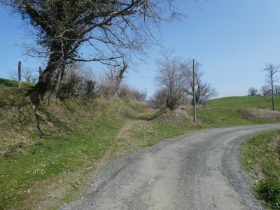 Croisement avant Bordalegagne 2