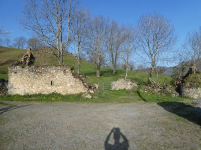 Croisement Behetiborda