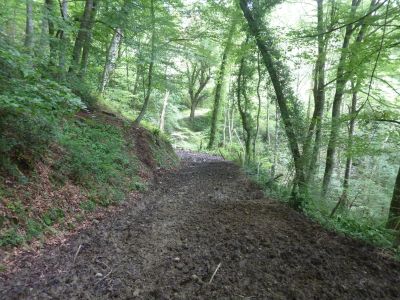 Vue chemin boueux