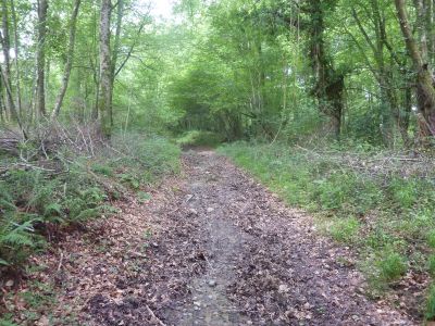 Vue chemin montée