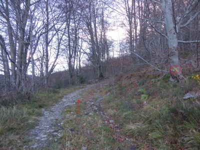 Piste croix jaune