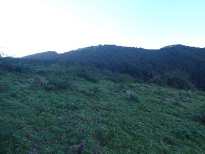 Croisement avant Bois Peyraube