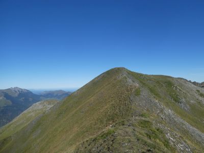 Descente Coos